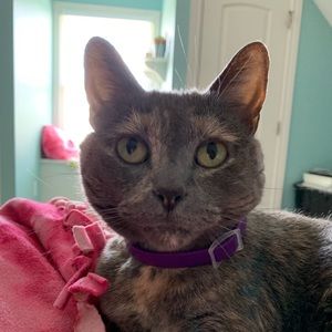 Meet your Posher, Noelle